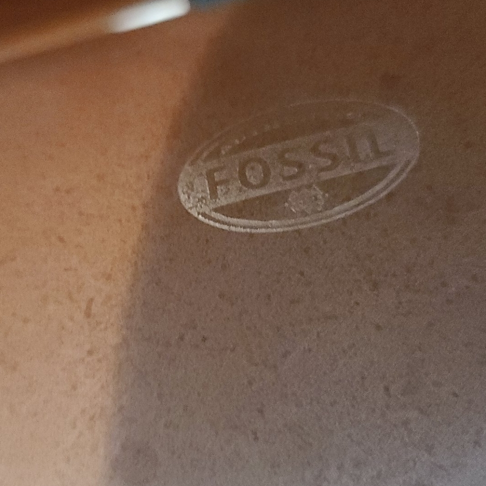 Fossil interchangeable watch